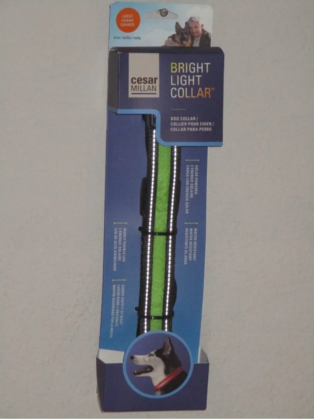 Cesar Millan Bright Light Neon Green Dog Collar Size Large 19.7